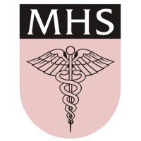 Medical Healthcare Solutions Logo