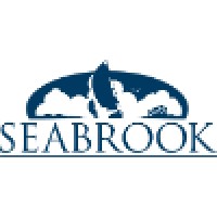 City of Seabrook, TX Logo