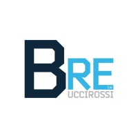 BuccirossiRE Ltd Logo
