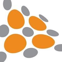 Shape Services Limited Logo