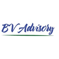 BV Advisory Logo