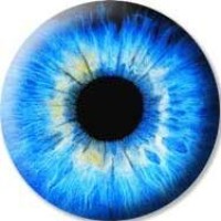 Delight Eventdesign Logo