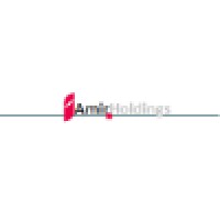 Amir Holdings Logo