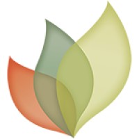 Senses Web Solutions Logo