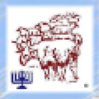 MENORAH -Menorah Ministries- Logo