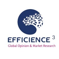 EFFICIENCE 3 Logo