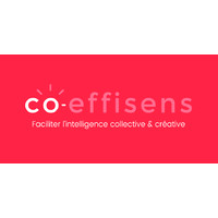 CO-EFFISENS Logo