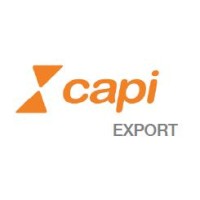 CAPI EXPORT Logo