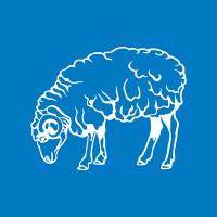 BUROPFO Logo