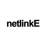 netlinkE - SEO Company In Nigeria Logo
