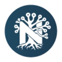 Nolwenture Ltd. Logo