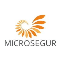 MICROSEGUR | Advanced Security Solutions Logo