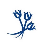 Blue Tulip Consultancy Logo