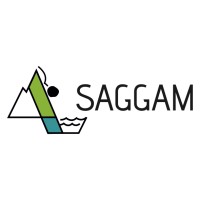 SAGGAM Logo