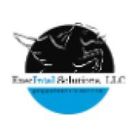 ExecIntel Solutions, LLC Logo