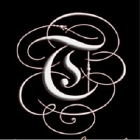 The Trendy Style Logo