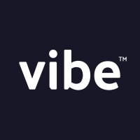 Vibe Studio - Digital, CGI & Animation Logo