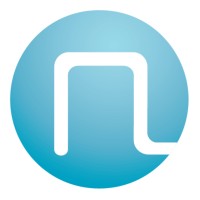 Norwegian Electric Systems (NES) Logo