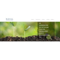 Novel Consulting Group Inc. Logo