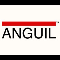 Anguil Environmental Systems, Inc. Logo