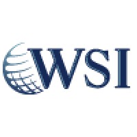 WSI-TIME Logo