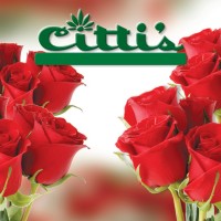 Cittis Florist Logo