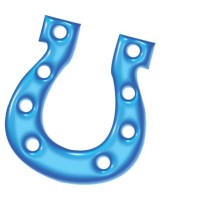 Blue Horseshoe Network Inc Logo