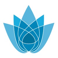 Blue Spark Capital Advisors Logo