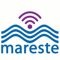 Mareste Equipamentos e Serviços de Telecomunicação Ltda. Logo
