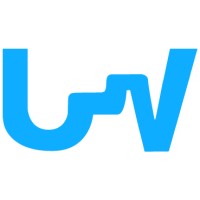 Browsewire Consulting Logo