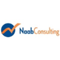 Naab Consulting Logo