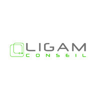 LIGAM CONSEIL Logo