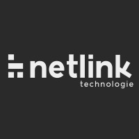 Netlink Technologie Logo
