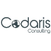 Codaris Consulting Logo
