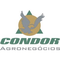 Condor Agronegócios Logo