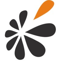 INGERIS INSPECTION Logo