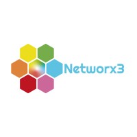 Networx3 Logo