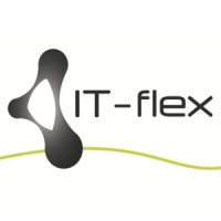 IT-flex NV Logo
