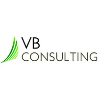 VB Consulting Services Logo