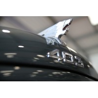 EXCELLENCE AUTO COLLECTION Logo