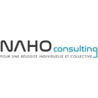 NAHO consulting Logo