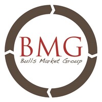 BULLS MARKET GROUP Logo