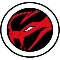 Viper Security Logo