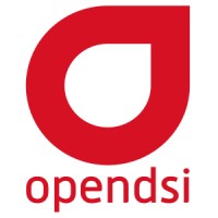 Open-DSI Logo