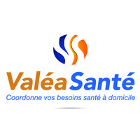 VALEA SANTE Logo