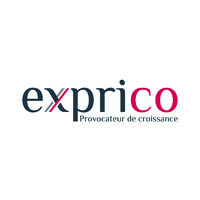 EXPRICO Logo