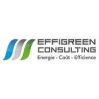 Effigreen Consulting Logo