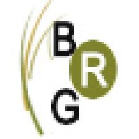 Baber Research Group Logo