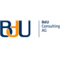 BdU Consulting AG Logo