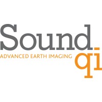 Sound QI Solutions Ltd. Logo